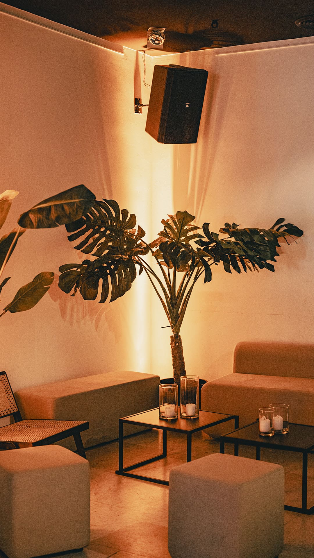 Maison Grand Place 19 Brussels Lounge square palm warm atmosphere