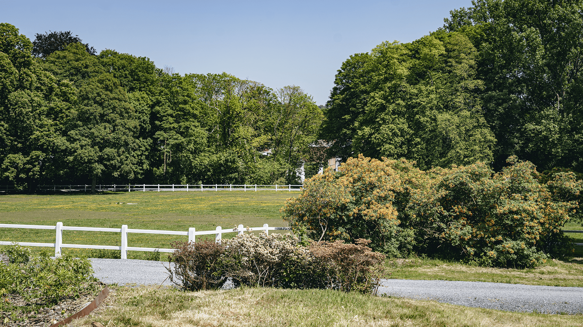Château Calmeyn Drogenbos Green Garden View
