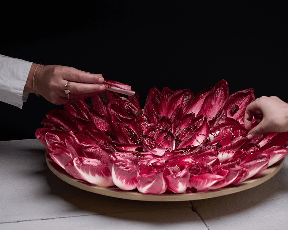Witlof Catering leaves appetizers graphic presentation food picking